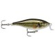 Shad Rap Shallow Runner 09 LBL