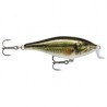 Shad Rap Shallow Runner 09 LBL