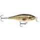 Shad Rap Shallow Runner 07 PEL