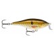 Shad Rap Shallow Runner 09 LBL