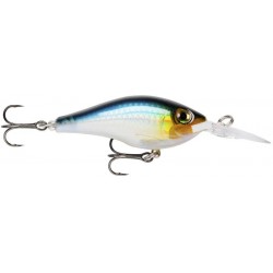 Max Rap Fat Shad 05