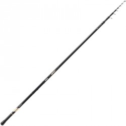 Mitchell® Epic Rod 4,20m 30-80g