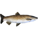 Gaby - Plyšová Ryba Amur