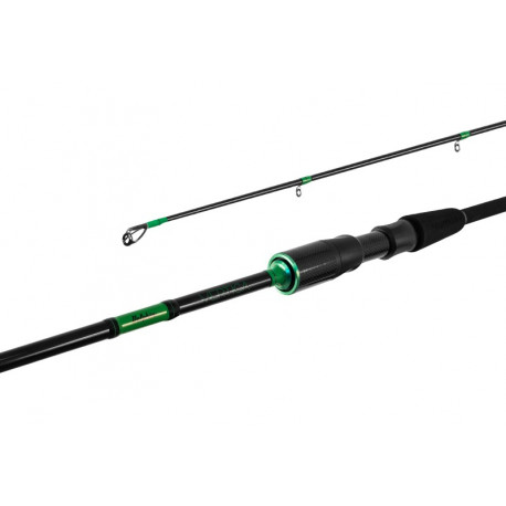 Delphin Vertica Spin 180cm/13-48g