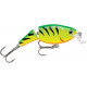 Jointed Shallow Shad Rap 05 