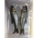Nástražní rybičky - konzervované stříbrné 3kusy