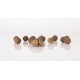 Nash Boilie Scopex Squid Boilies Stabilised 20mm 1kg