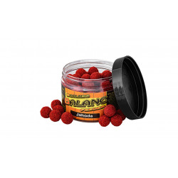 Václavík Boilies Balanc Feeder - 80 g/12 mm