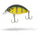 Quantum FAT Minnow SR 