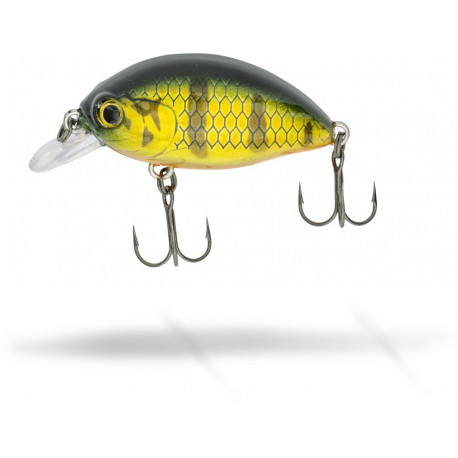 Quantum FAT Minnow SR 