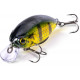 Quantum FAT Minnow SR 