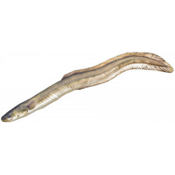 Gaby Polštář Úhoř říční 115 cm