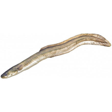 Gaby Polštář Úhoř říční 115 cm