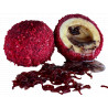 LK Baits Nutrigo Monster Live Blood Woorm 20-25mm, 250ml, 12ks (patentka) 