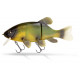 Freak of Nature Hybrid Tench 23cm Firetiger