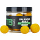 TB Baits Vyvážené Boilie Balanced + Atraktor 100g 20-24mm