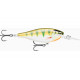 Wobler Rapala Shad Rap Elite 55 