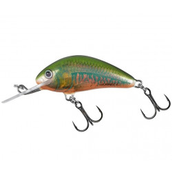 Salmo Wobler Hornet Sinking 2,5cm