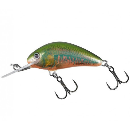 Salmo Wobler Hornet Sinking 2,5cm