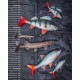 Fox Rage Gumová Nástraha Ultra Realistic Perch Replicant 10cm 19g