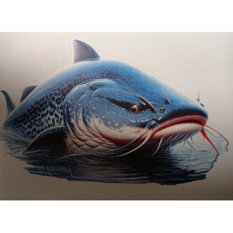 Bavlněné tričko se sumcem