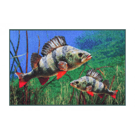 Delphin Rohož 3D okouni