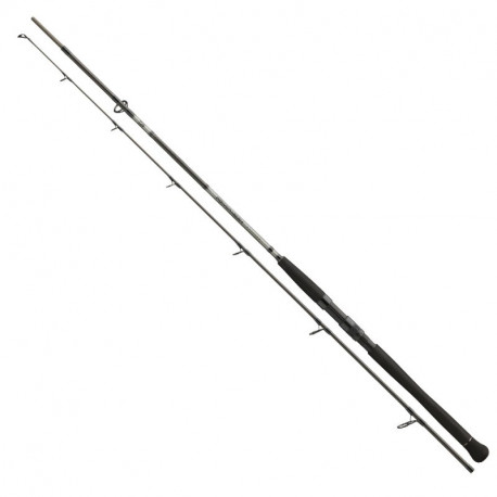 Daiwa Prut Powermesh Catfish Boje 3 m 150-400 g