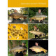 TB Baits Booster Corn 500 ml