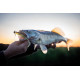 Fox Rage Gumová nástraha Scent Shad Bulk Green Pumpkin 11cm 