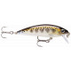 Rapala X-Rap Countdown 5 cm