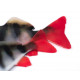 Fox Rage Gumová Nástraha Ultra Natural Perch Fillet 4 ks