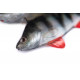 Fox Rage Gumová Nástraha Ultra Natural Perch Fillet 4 ks
