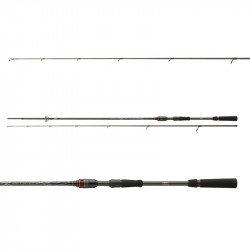Daiwa Prut Ballistic Air 2,4m 14-42g